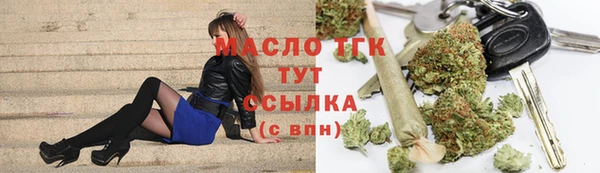 эйфоретик Гусь-Хрустальный