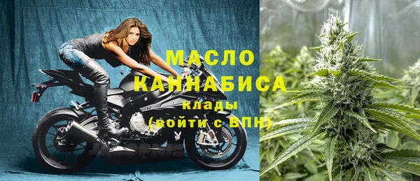 прущие грибы Гусиноозёрск