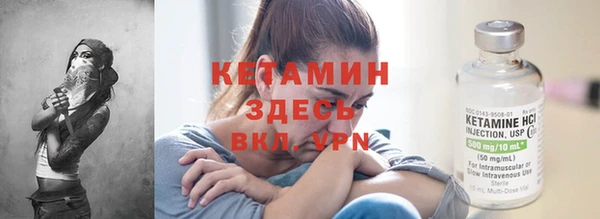 прущие грибы Гусиноозёрск