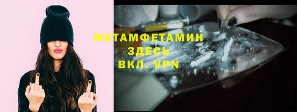 гидра Елизово