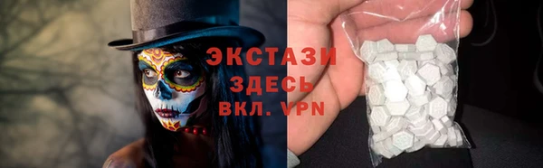 гидра Елизово