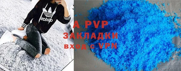 прущие грибы Гусиноозёрск