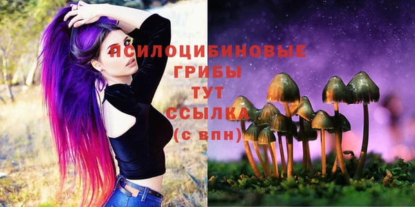 MDMA Елабуга
