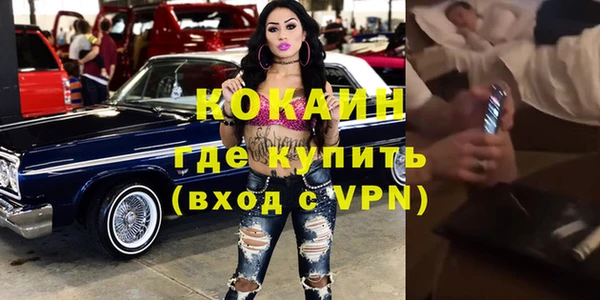 гидра Елизово