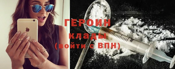 прущие грибы Гусиноозёрск