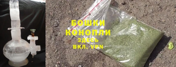 гидра Елизово