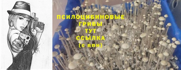 эйфоретик Гусь-Хрустальный