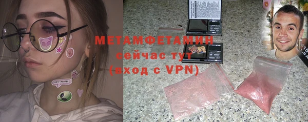 гидра Елизово