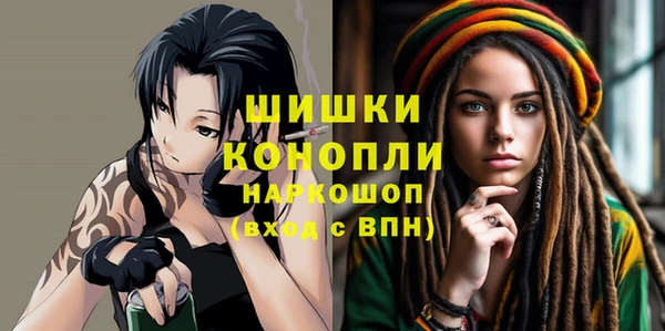 прущие грибы Гусиноозёрск