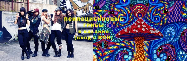 гидра Елизово